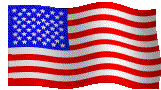 Waving US Flag