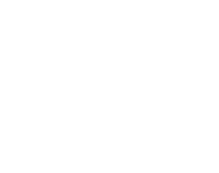 SS-Brigade 2 Reichsfhrer-SS