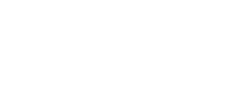 Government and High Command