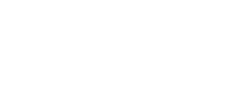 Infantry Division