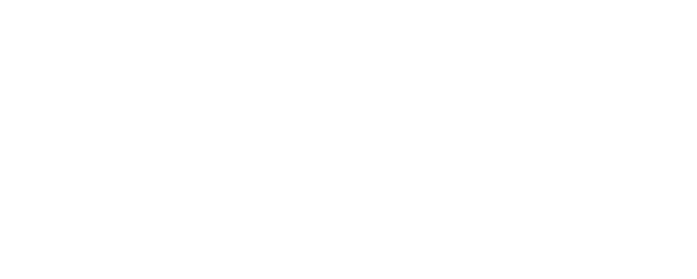 Anti-Aircraft Brigade (Base and Forward Defense)