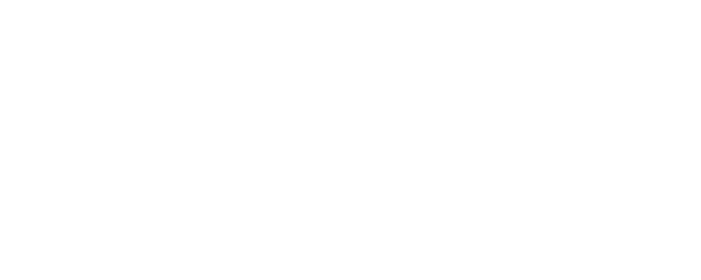 Government and High Command