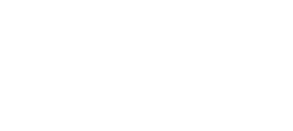 Government and High Commands