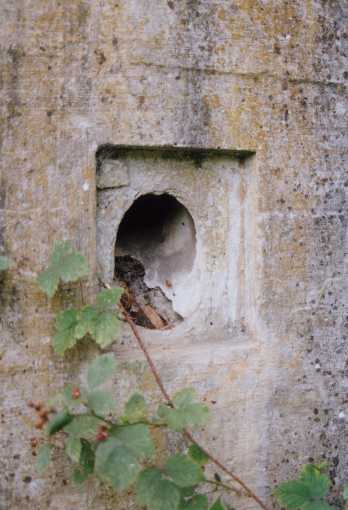 Medium MG Bunker - grenade gully exit