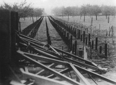 Transition between Cointet gates and a rail field